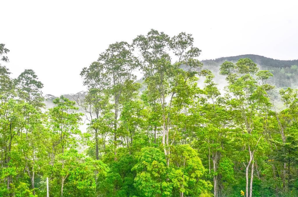 Hanthana Holiday Rooms Kandy Esterno foto