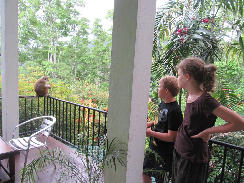 Hanthana Holiday Rooms Kandy Esterno foto